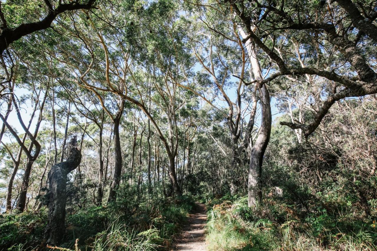 Paperbark Camp Hotel Woollamia Bagian luar foto